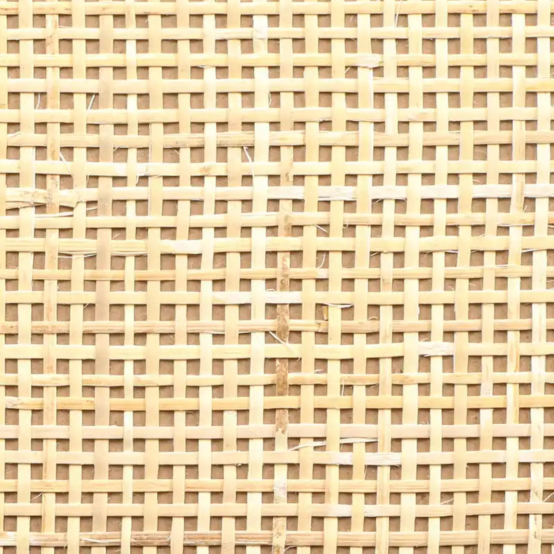 Aufbewahrungsschrank für das Heimbüro mit Rattan-Dekor, 2 Türen und verstellbarem Einlegeboden